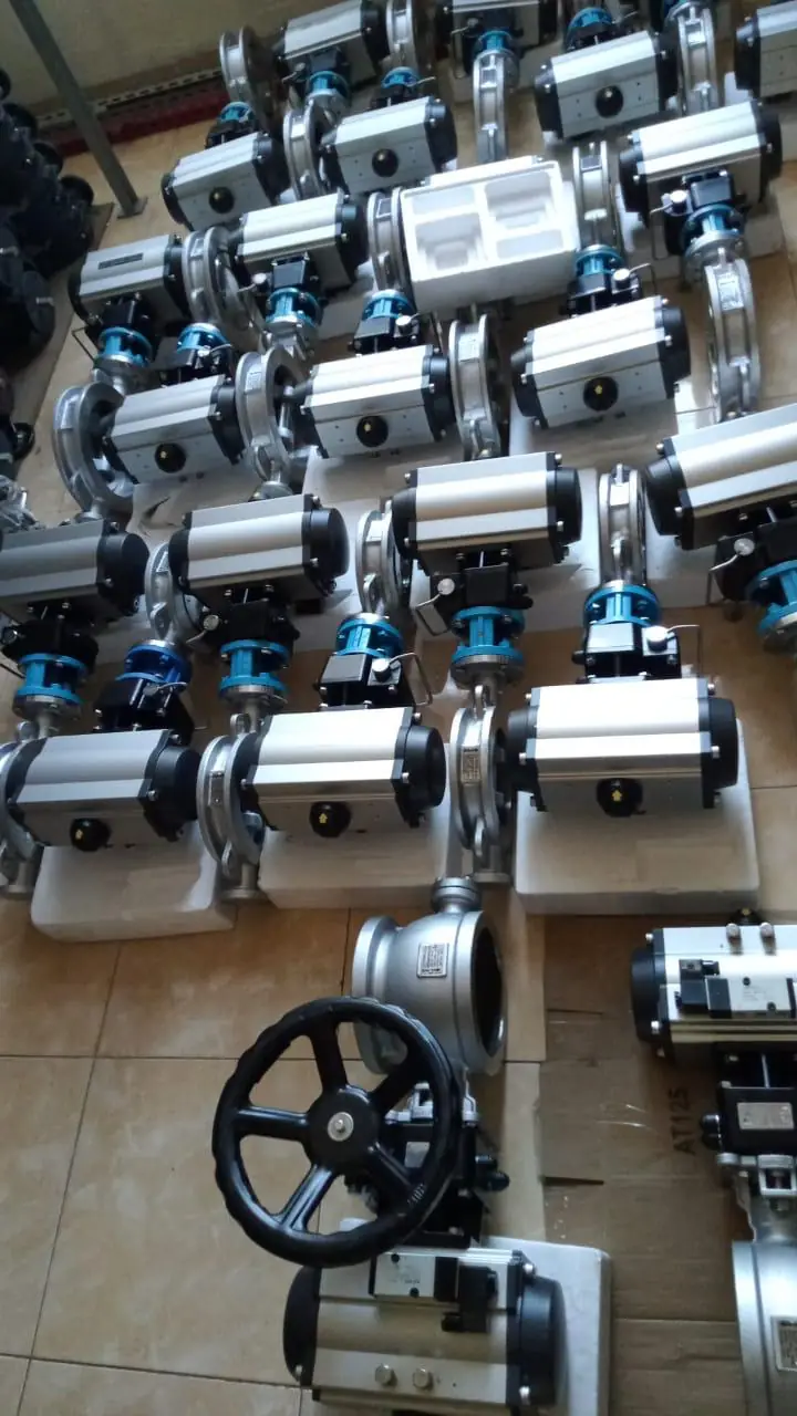 Pneumatic actuators and valves
