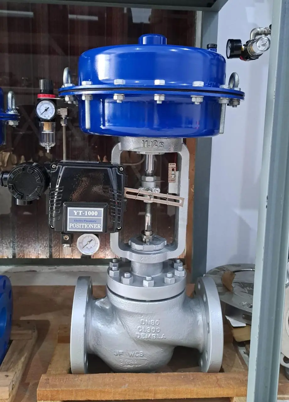 Globe control valve